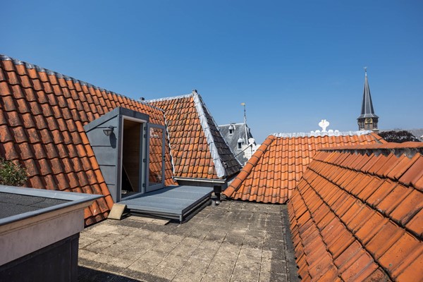 FotovanDana-Grote Oost 2c-1.jpg